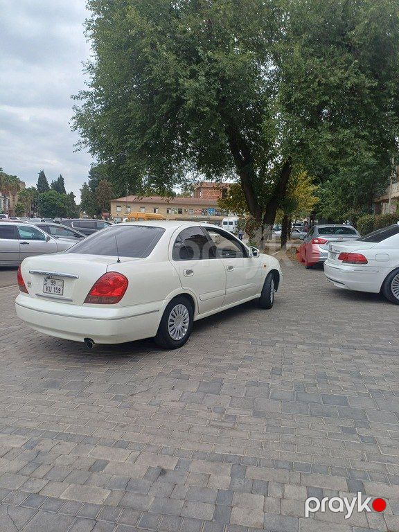 Nissan Sunny, 1.3 L, 2008 il, 350 000 km — Avtomobillər, Masallı (4)