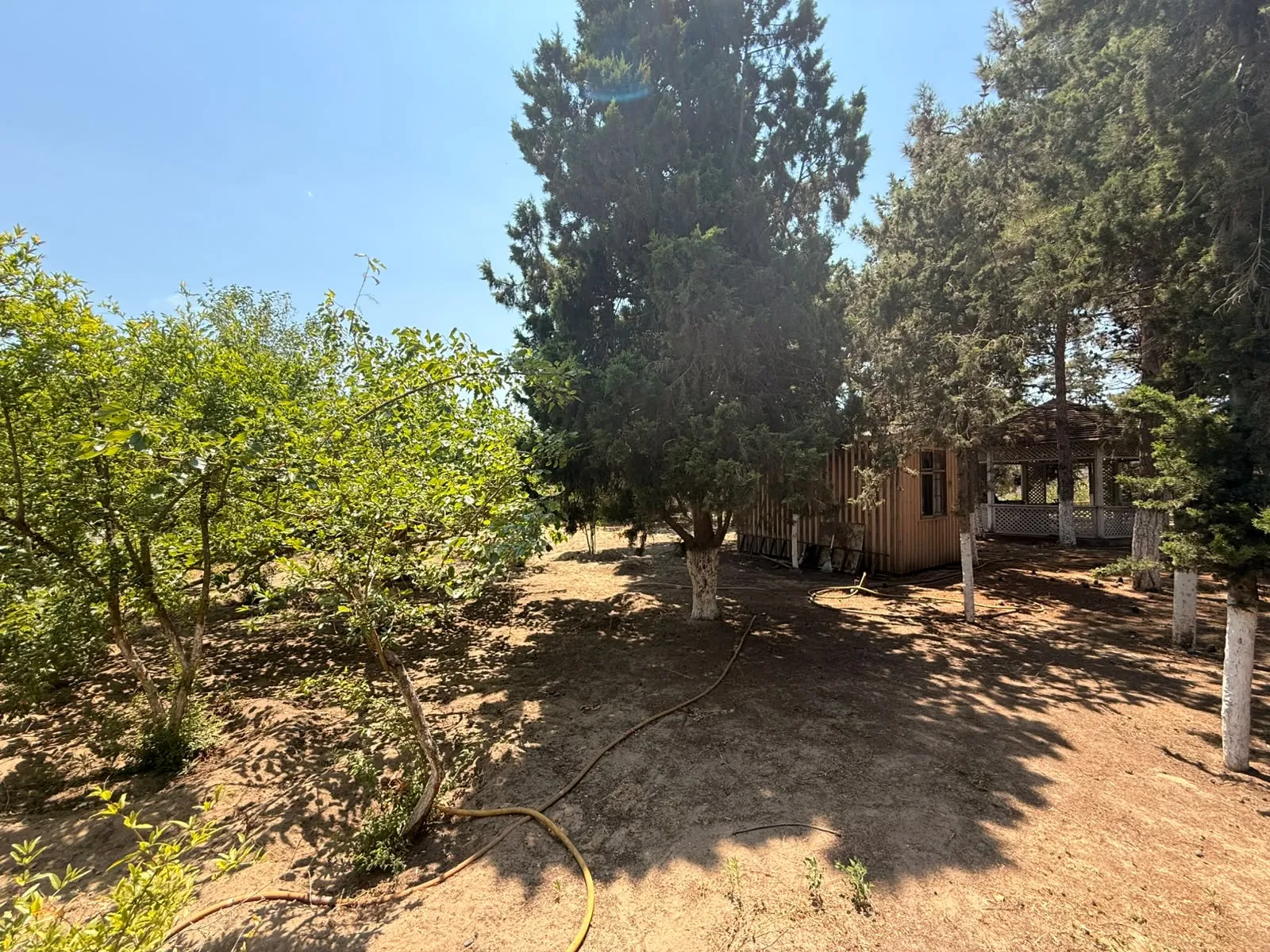 Mərdəkan, Torpaq satılır - 8 sot — Torpaq, Bakı (4)