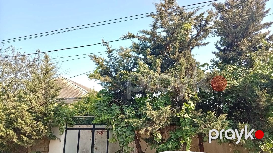 Həyət evi kirayə verilir, Bilgəh qəs — Ev, villa, Bakı (11)