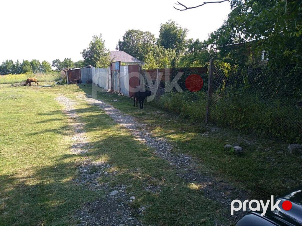 6 sot torpaq sahəsi, İsmayıllı r — Torpaq, İsmayıllı (8)