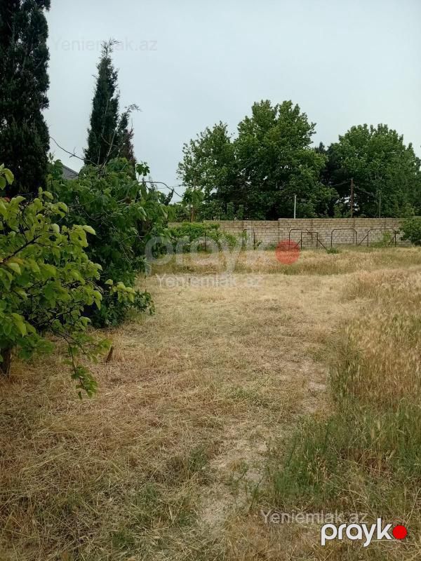 Satılır Torpaq sahəsi, 24 sot, Novxanı — Torpaq, Abşeron (4)