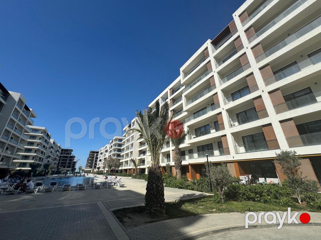 İcarəyə verilir 1 otaqlı yeni tikili 60 m² — Mənzil, Bakı (2)