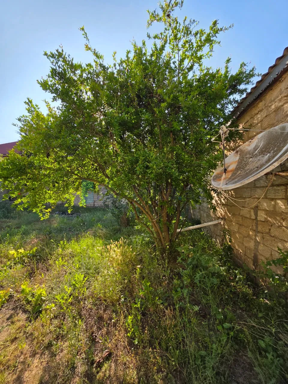 Satılır: Torpaq, Xəzər r., Şüvəlan q., 6.00 m² — Torpaq, Şüvəlan (7)