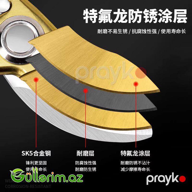Afıxs Professional Pruning Shears (Bağ qayçısı) — Bağ aləti, Bakı (4)