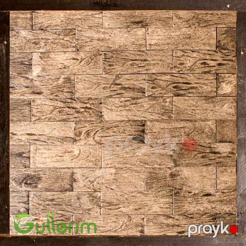 Tamet 002 — Bakı