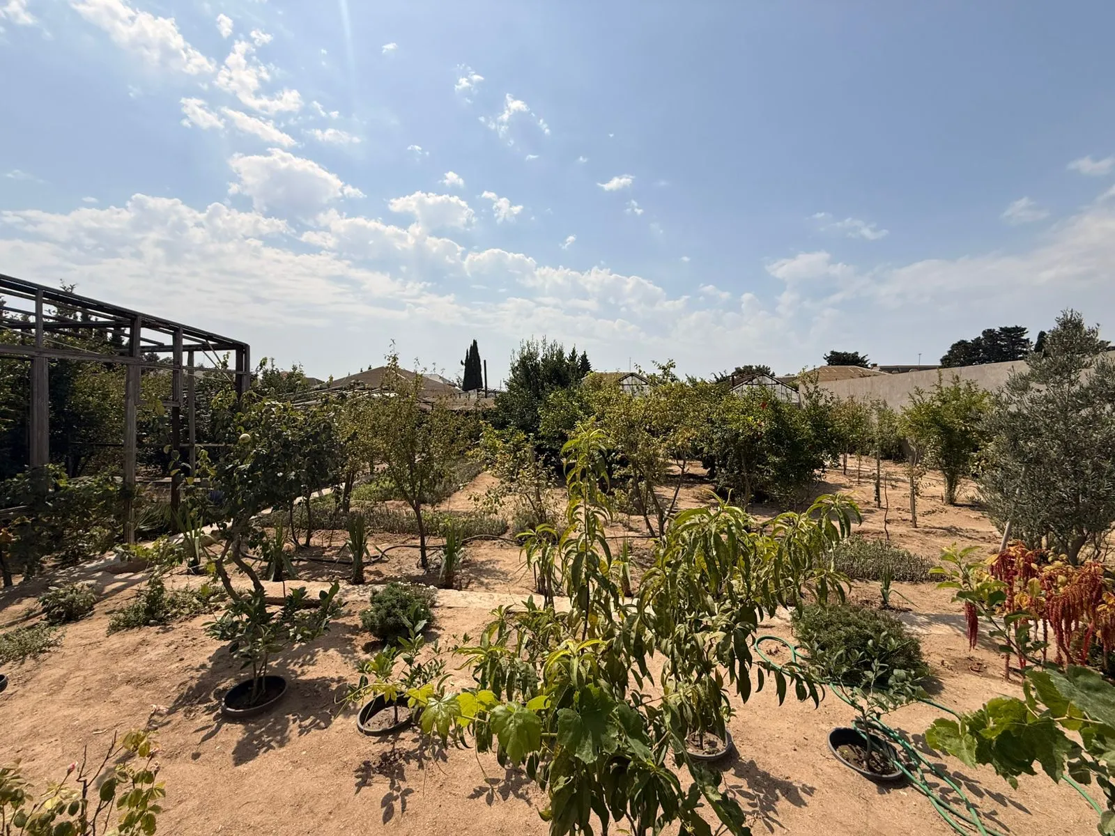 Şüvəlan, Torpaq satılır - 5 sot — Torpaq, Bakı (3)