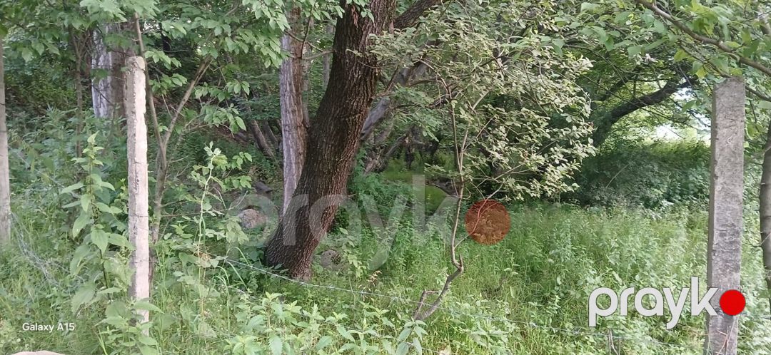 15 sot torpaq sahəsi, Qusar ş — Torpaq, Qusar (6)