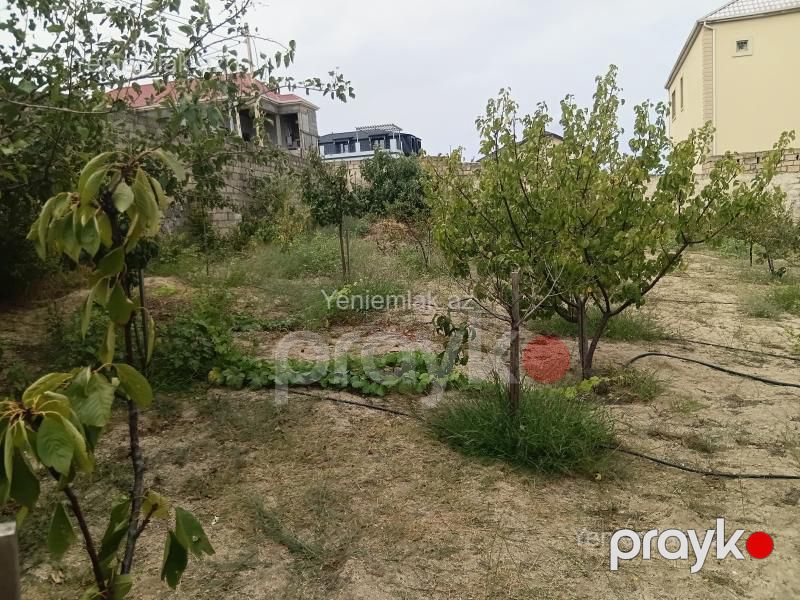 Satılır Torpaq sahəsi, 10 sot, Novxanı bağ massivi — Torpaq, Sumqayıt (7)
