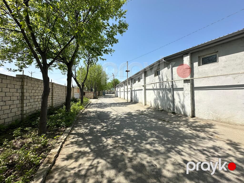 Satılır obyekt 40000 m² — Əmlak, Şabran (3)