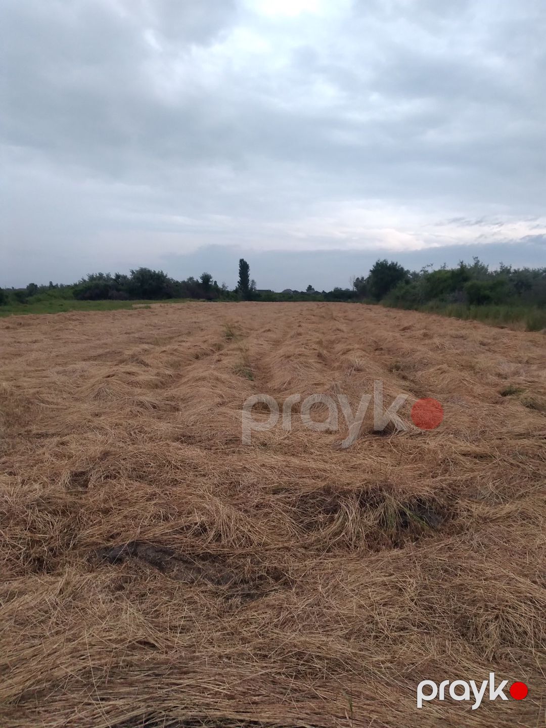 30 sot torpaq sahəsi, Xaçmaz r — Torpaq, Xaçmaz (3)