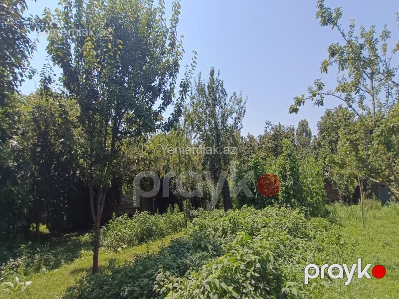 Satılır Torpaq sahəsi, 15 sot, Qəbələ — Torpaq, Qəbələ (3)