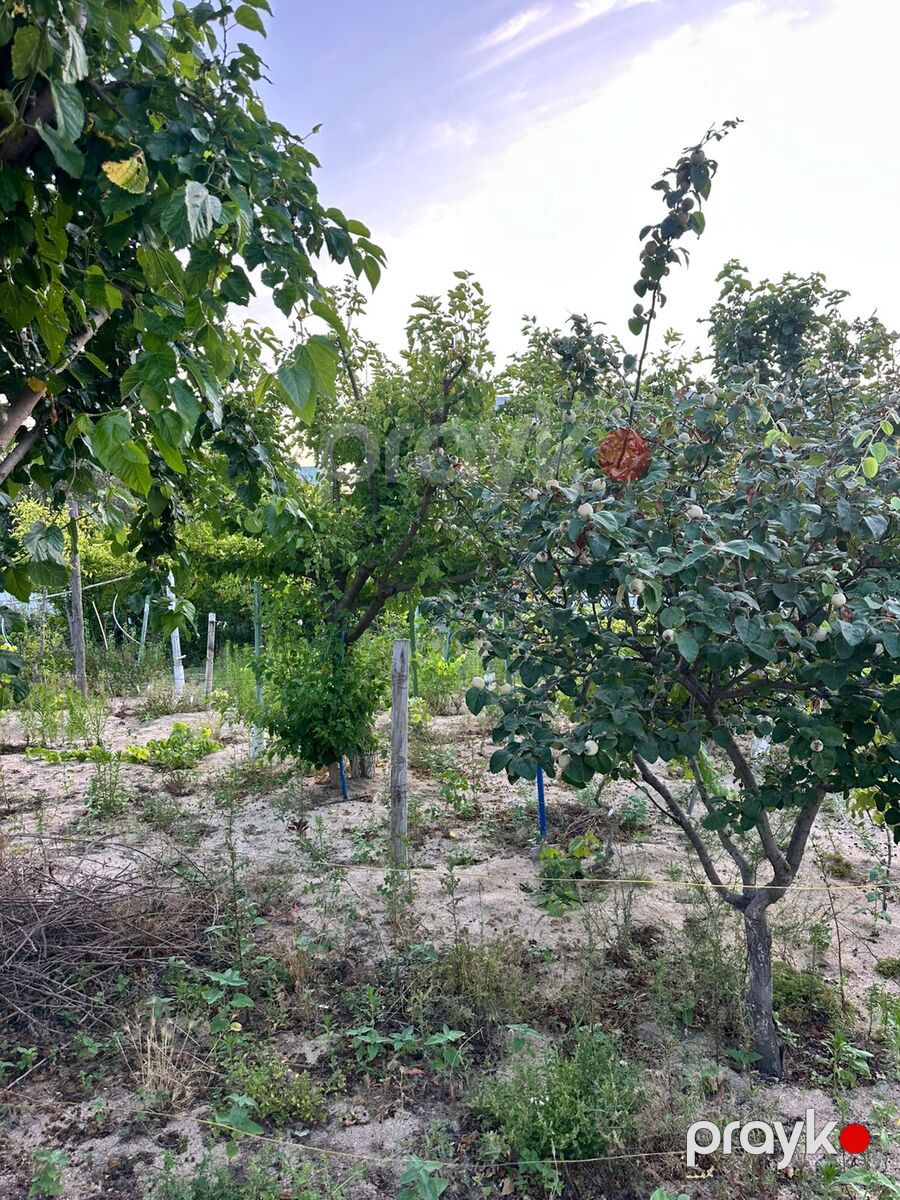 Satılır torpaq 2 sot — Torpaq, Bakı (4)