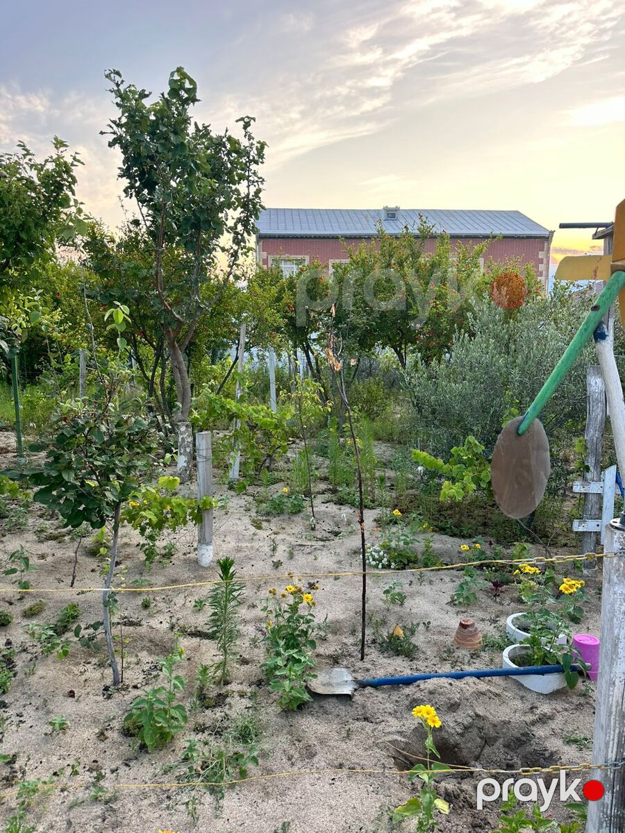 Satılır torpaq 2 sot — Torpaq, Bakı (7)