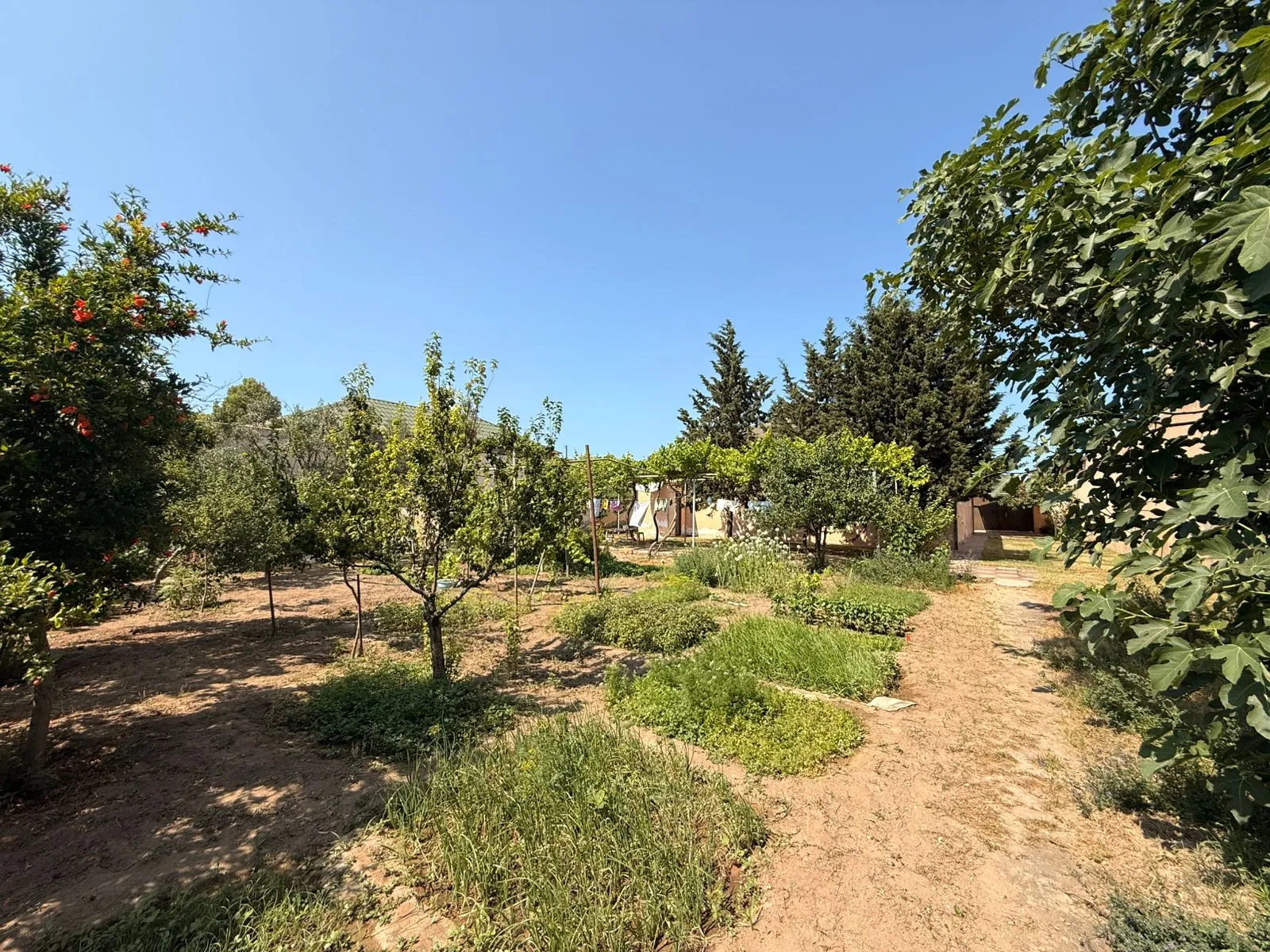 Mərdəkan, Torpaq satılır - 12 sot — Torpaq, Bakı (7)