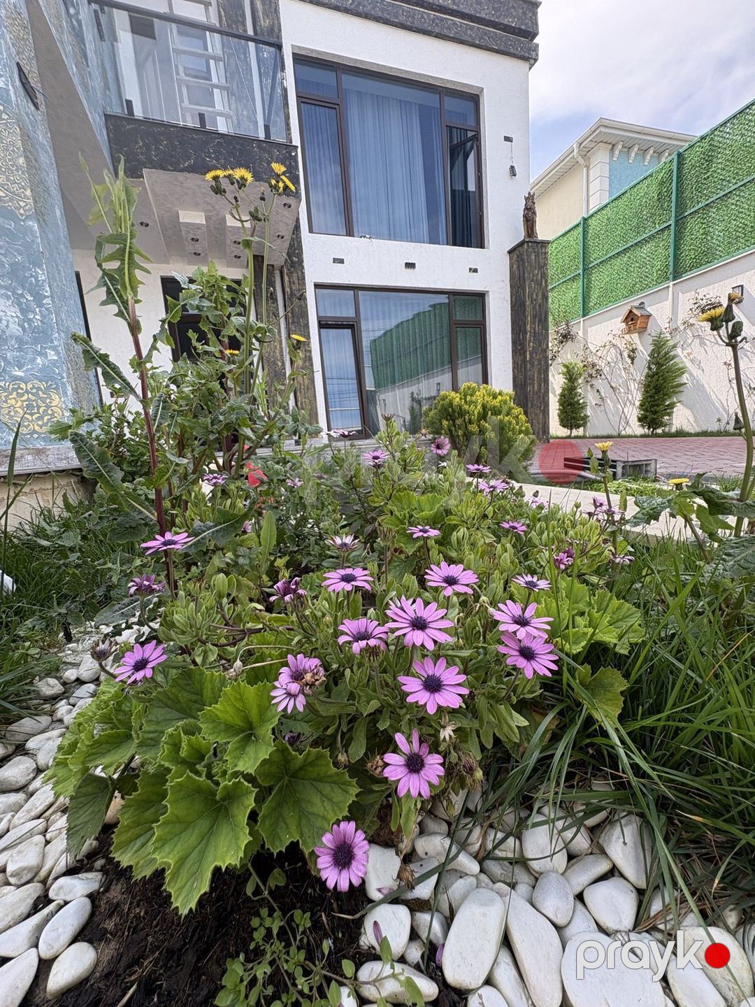 Bağ evi kirayə verilir, Mərdəkan qəs — Ev, villa, Bakı (4)