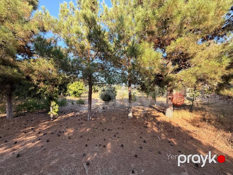 Satılır Torpaq sahəsi, 19 sot, Xəzər rayonu — Torpaq, Bakı (4)