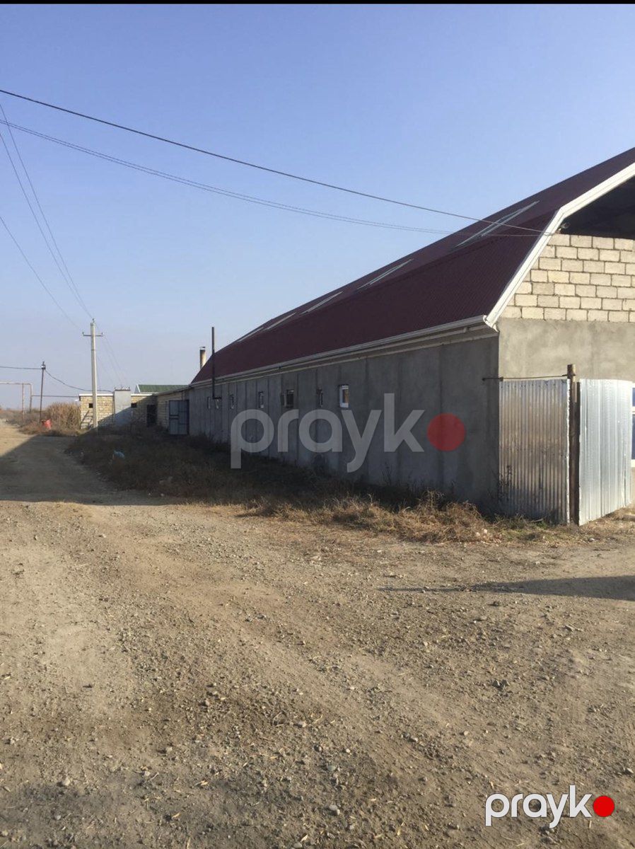 Satılır obyekt 60000 m² — Əmlak, Salyan (3)