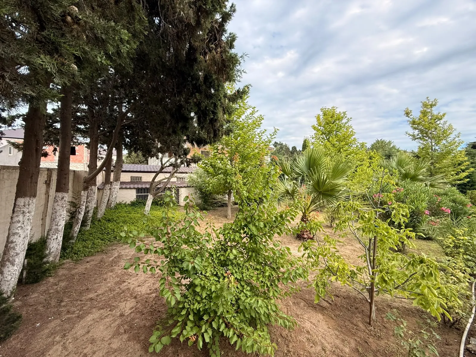 Mərdəkan, Torpaq satılır - 16 sot — Torpaq, Bakı (8)
