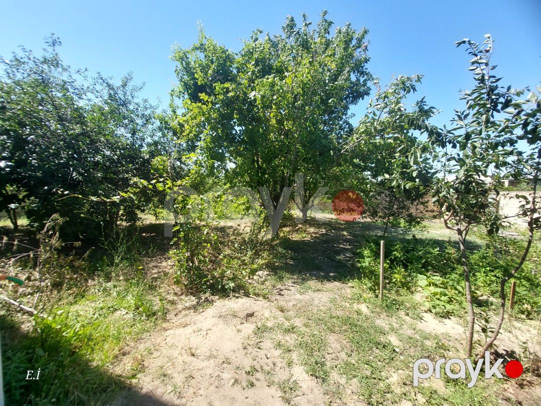 Həyət evi, Saray qəs — Ev, villa, Sumqayıt (4)