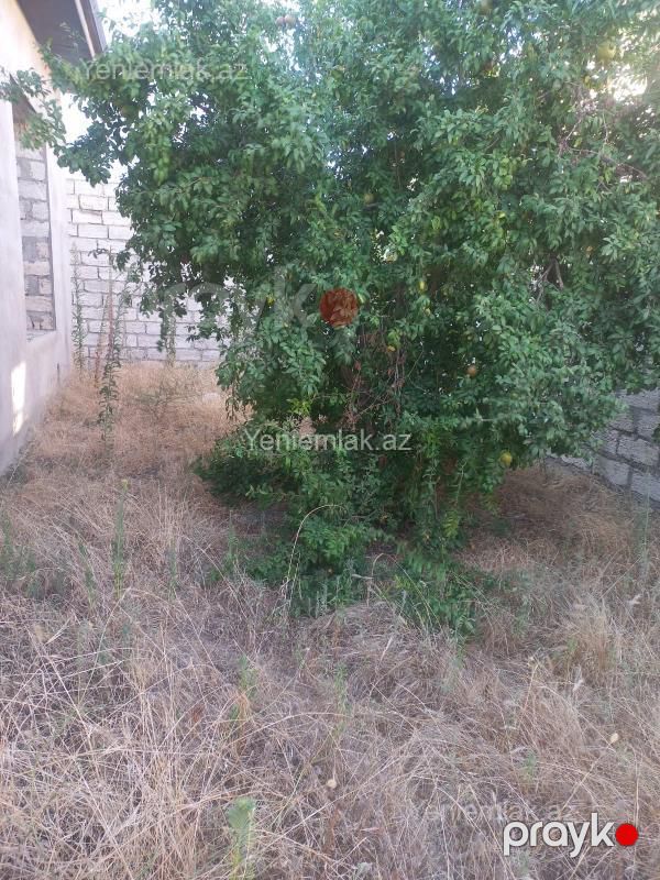 Satılır 3 otaqlı Həyət evi / Villa, 120 m², Sabunçu rayonu — Ev, villa, Bakı (10)
