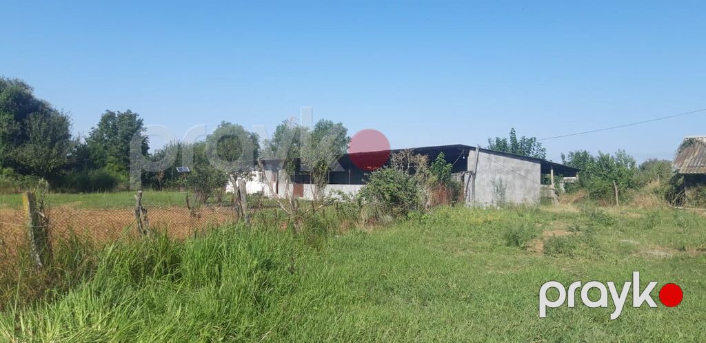 Heyvandarlıq üçün ferma binası - Dəyərindən qat qat az məbləğə — Əmlak, Bakı (5)