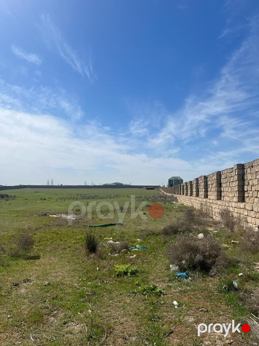 Satılır torpaq 200 sot — Torpaq, Bakı (11)
