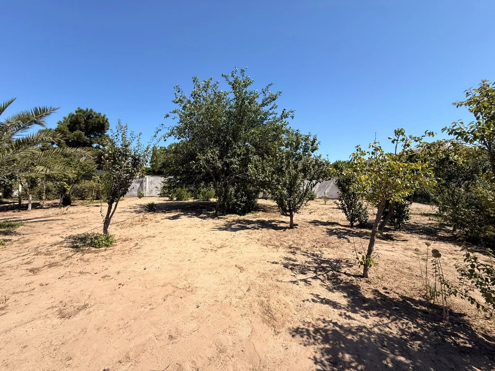Şüvəlan, Torpaq satılır - 5 sot — Torpaq, Bakı (3)