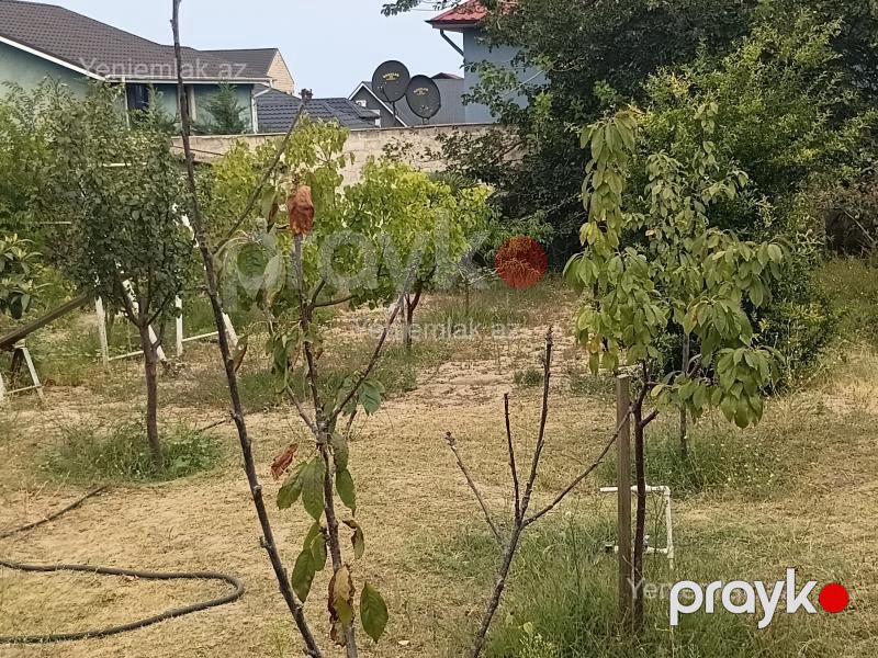 Satılır Torpaq sahəsi, 10 sot, Novxanı bağ massivi — Torpaq, Sumqayıt (5)