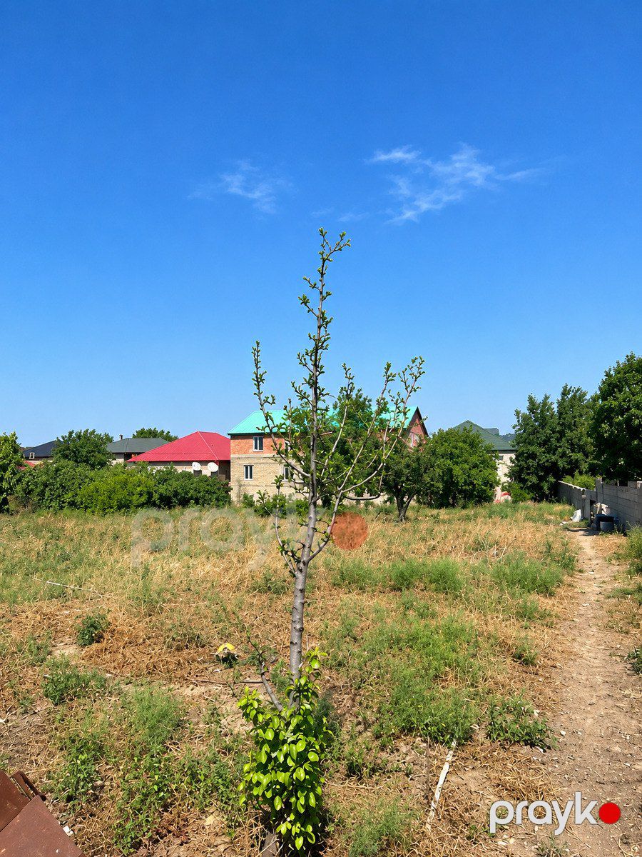 Satılır torpaq 4 sot — Torpaq, Bakı (3)
