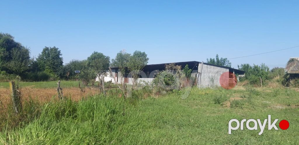 Heyvandarlıq üçün ferma binası - Dəyərindən qat qat az məbləğə — Əmlak, Şəki (5)