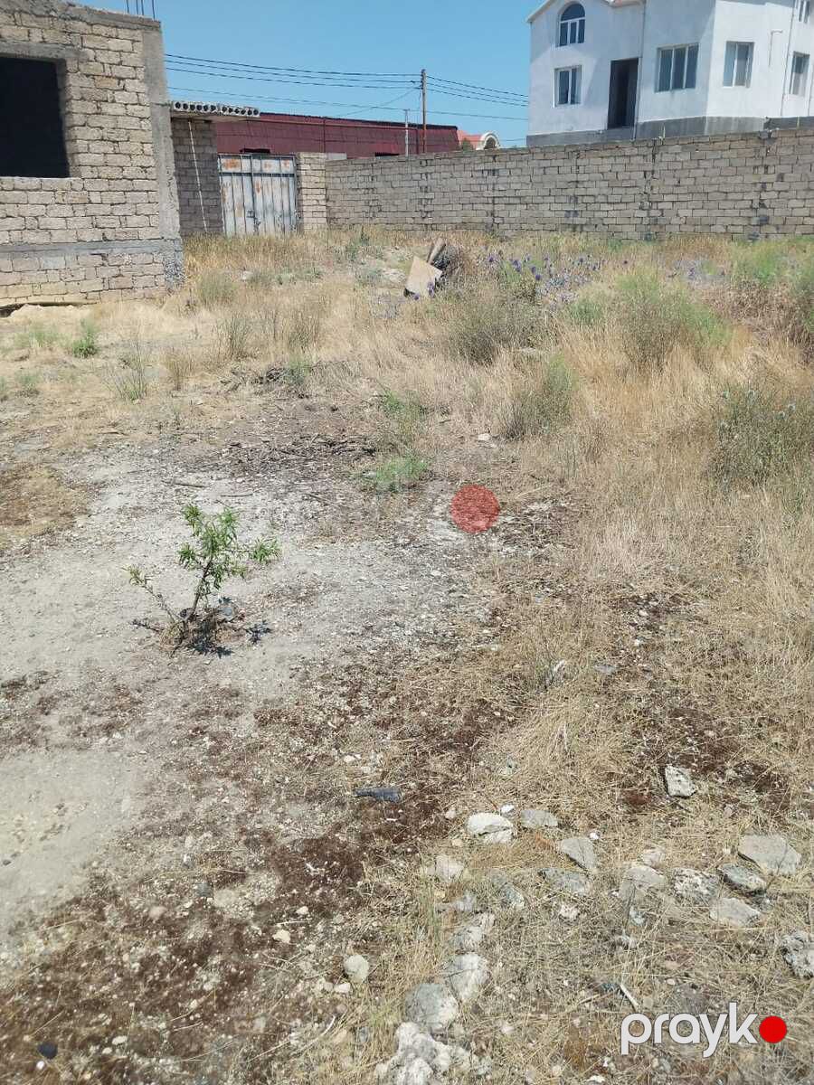 Satılır torpaq 8 sot — Torpaq, Bakı (6)