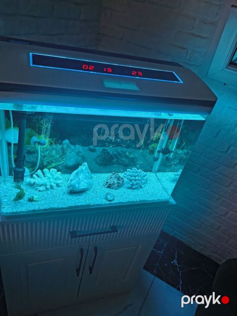 Akvaryum - Şüşə akvarium, yuxarı qapaqlı konstruksiya - Qapaqda — Bakı