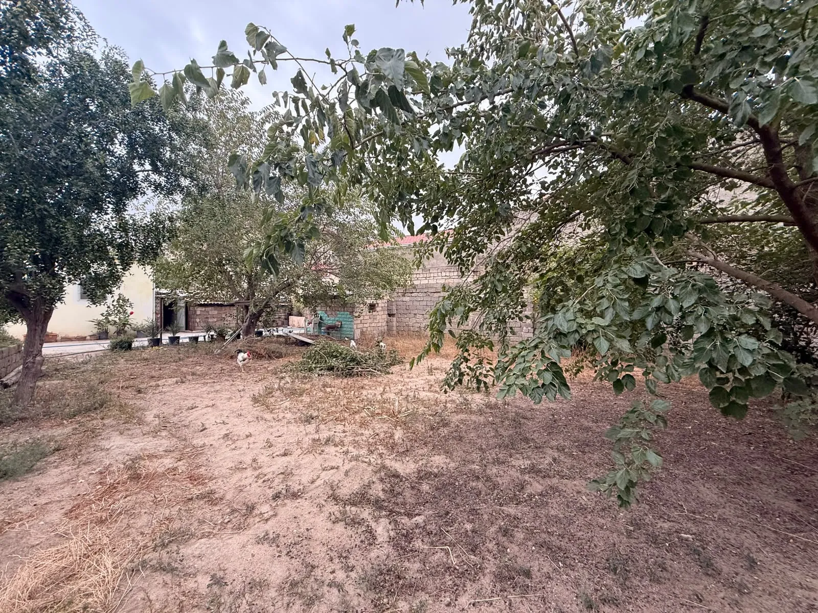 Mərdəkan, Torpaq satılır - 3 sot — Torpaq, Bakı (3)