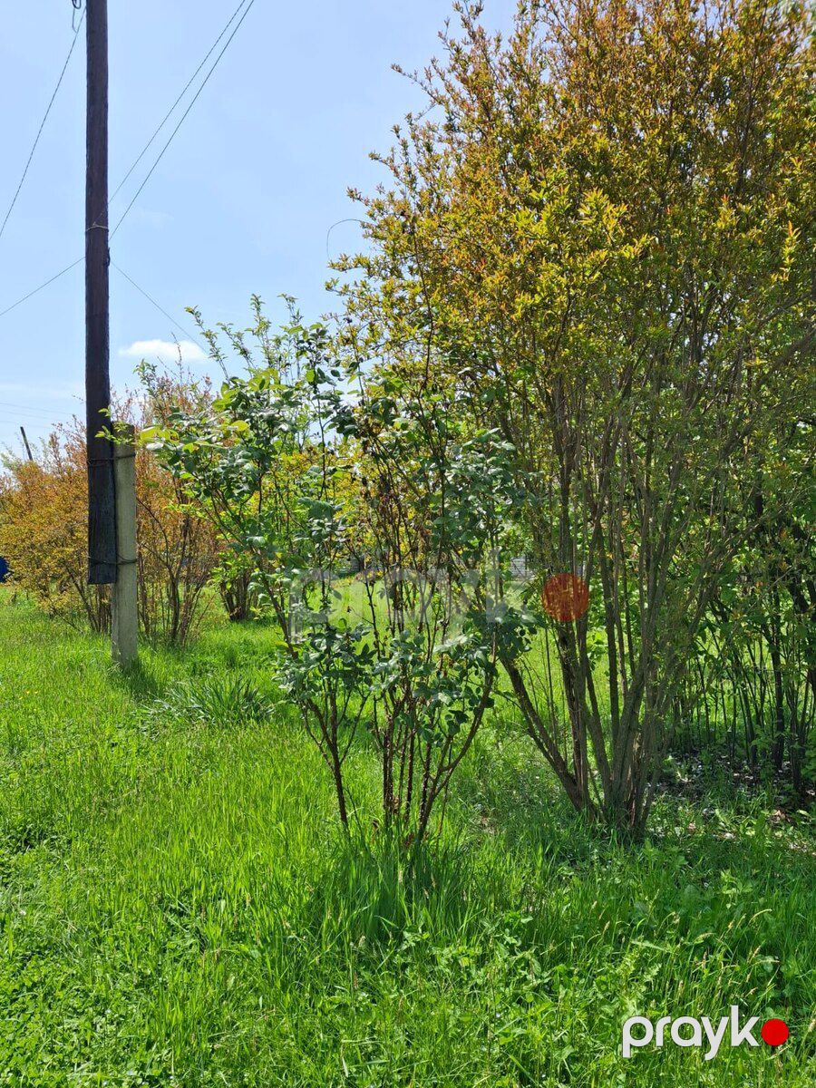 12 sot torpaq sahəsi, Ağdaş r — Torpaq, Ağdaş (5)