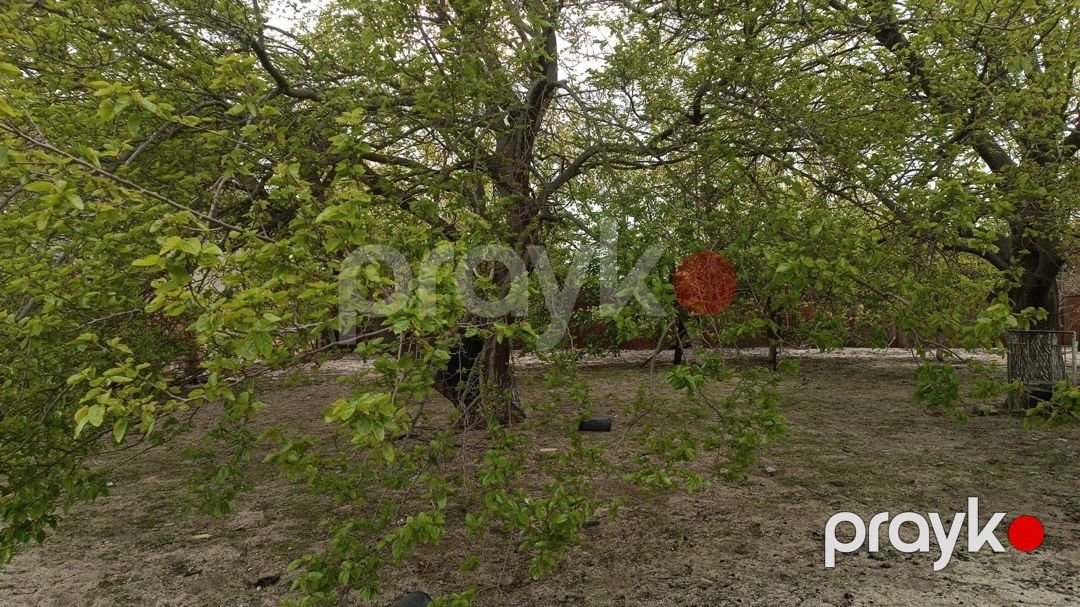 Satılır torpaq 6.5 sot — Torpaq, Sumqayıt (2)