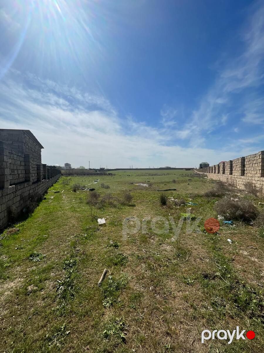 Satılır torpaq 200 sot — Torpaq, Bakı (4)