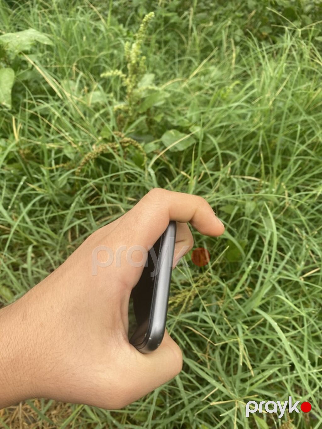 IPhone 11, Qara, Simsiz şarj — Apple iPhone, Bərdə (10)