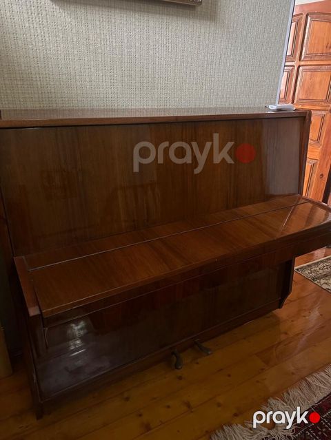 Piano – klassik üslubda, parlaq taxta korpuslu. Xüsusiyyətlər: - Dik — Bakı