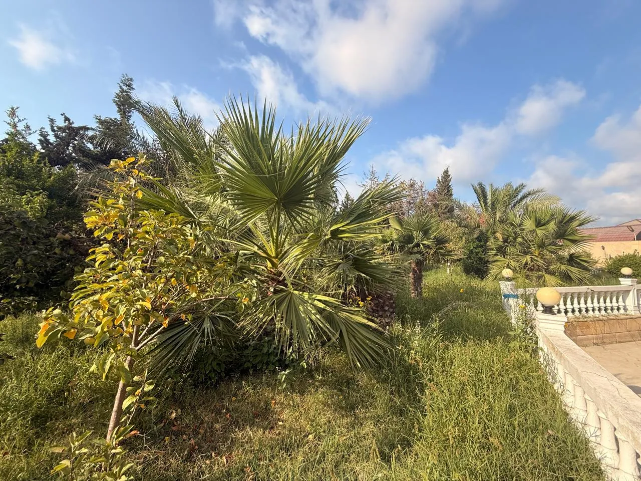 Mərdəkan, Torpaq satılır - 14 sot — Torpaq, Bakı (3)