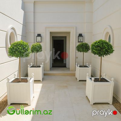 Taxta dibçək (Əl işi) 054 — Bağ dekorasiyası, Bakı (2)