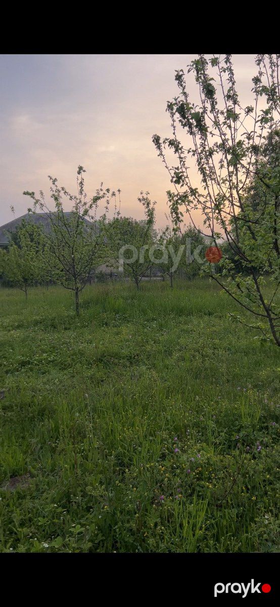12 sot torpaq sahəsi, Qəbələ ş — Torpaq, Qəbələ (6)