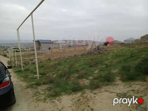 Tikinti — Masazır