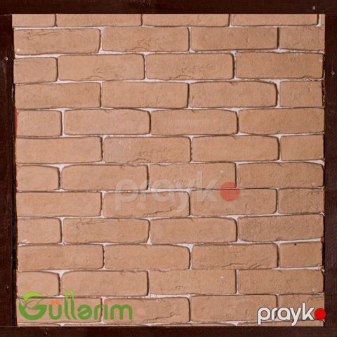 Tamet 006 — Bakı