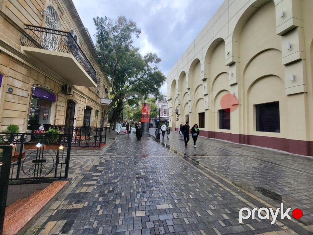 İcarəyə verilir 5 otaqlı köhnə tikili 250 m² — Mənzil, Bakı (7)