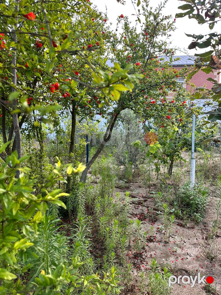 Satılır torpaq 2 sot — Torpaq, Bakı (3)