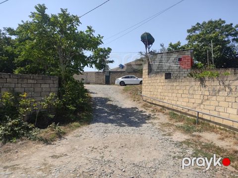 Satılır torpaq 11 sot — Xaçmaz