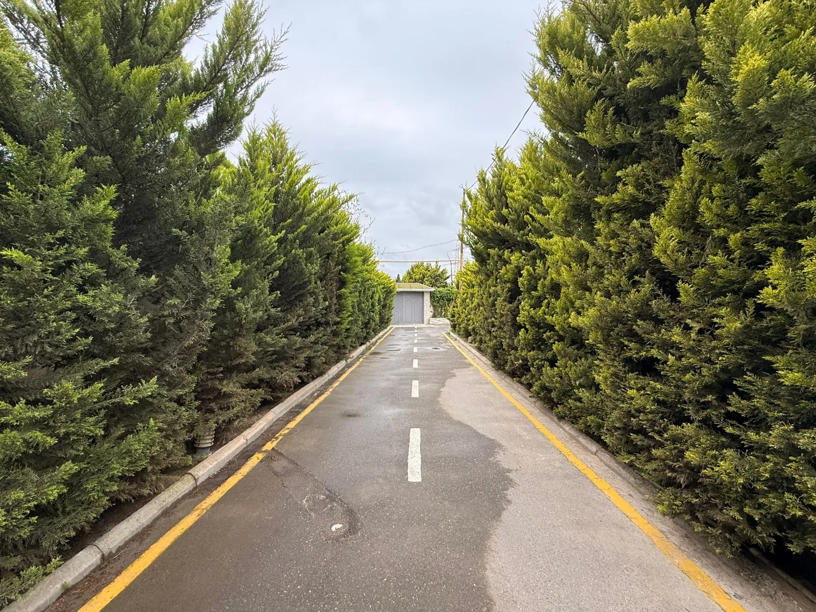 Şüvəlan, Torpaq satılır - 12 sot — Torpaq, Bakı (3)