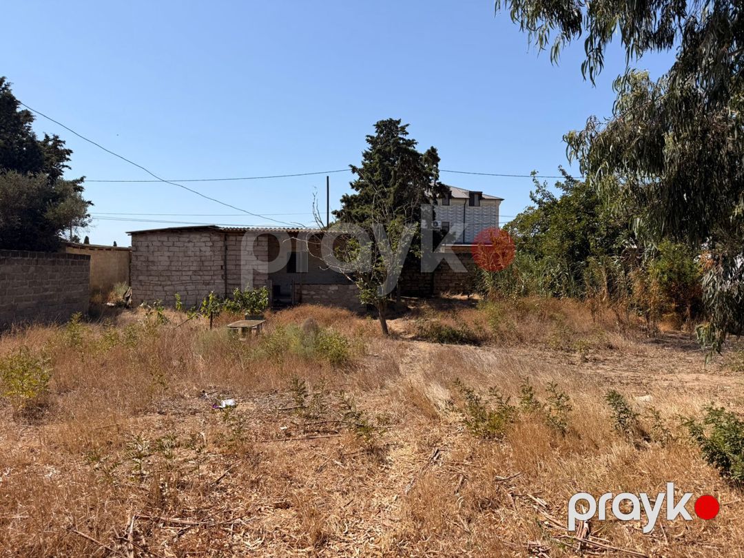 4 sot torpaq sahəsi, Şüvəlan qəs — Torpaq, Bakı (7)