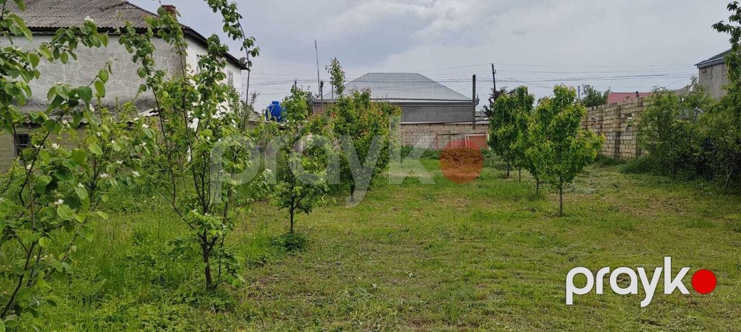 Satılır torpaq 6 sot — Torpaq, Quba (10)