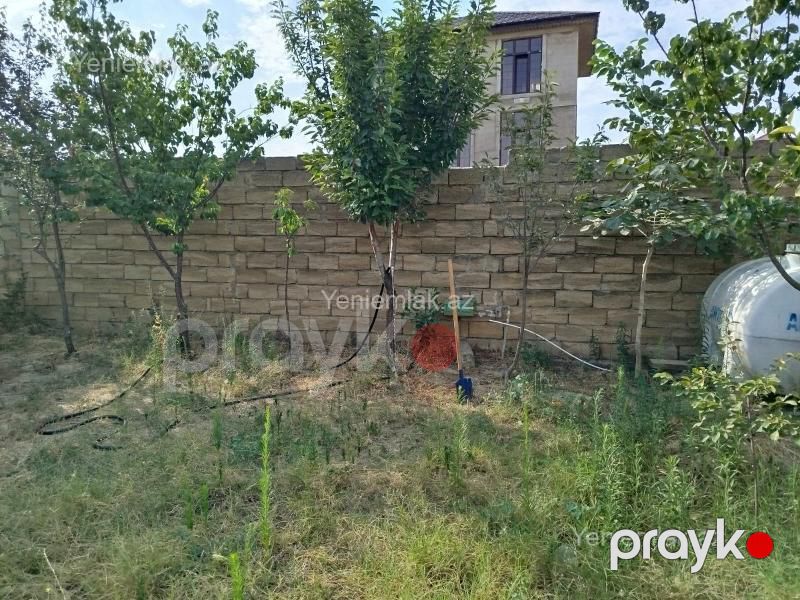 Satılır Torpaq sahəsi, 2.5 sot, Saray — Torpaq, Abşeron (5)